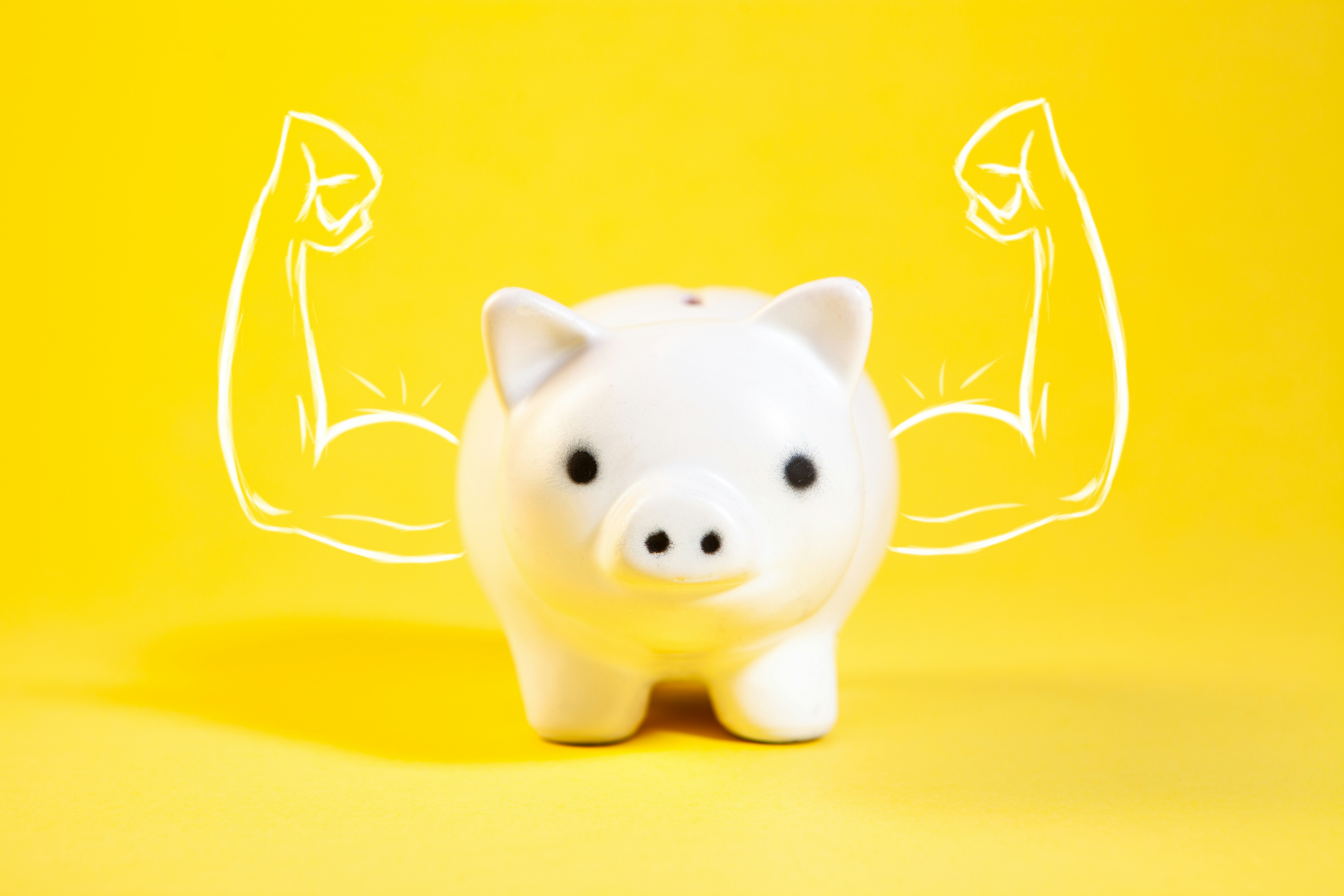 ETF Essentials: The Beginner's Core